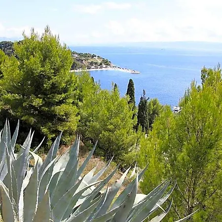 Split Hotel 4*